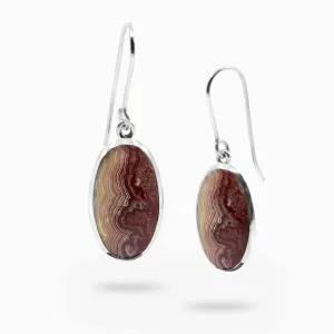 Crazy Lace Agate Drop Earrings