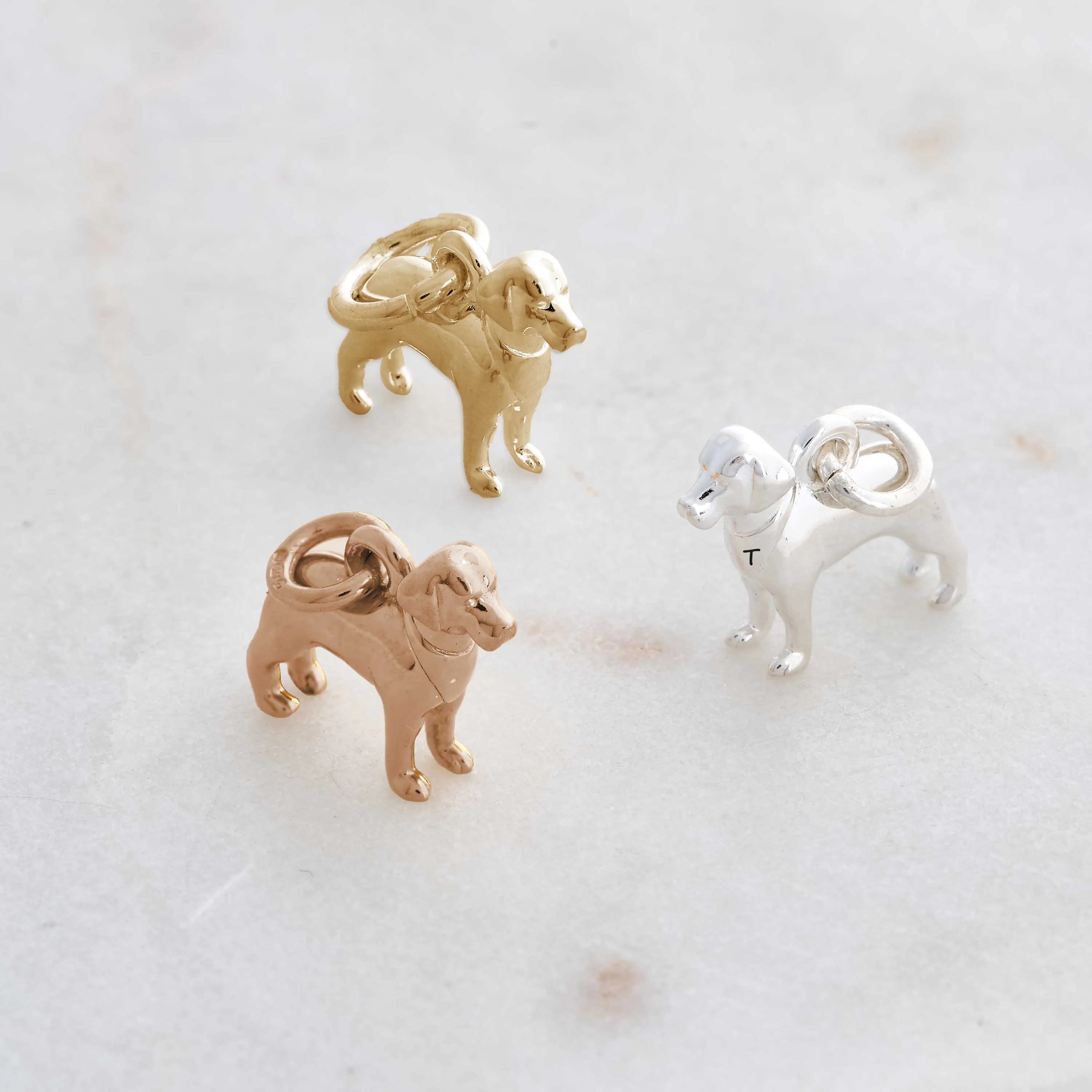 Labrador Silver Dog Charm