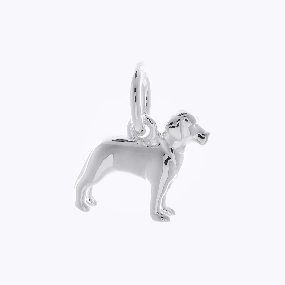 Labrador Silver Dog Charm