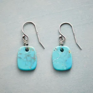 Nature's Art Turquoise Earrings